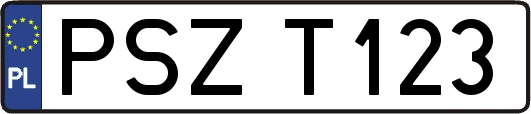 PSZT123