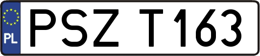 PSZT163
