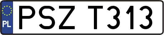 PSZT313
