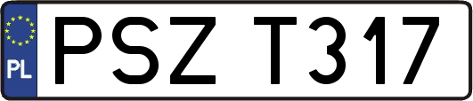 PSZT317