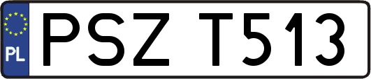 PSZT513