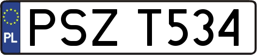 PSZT534
