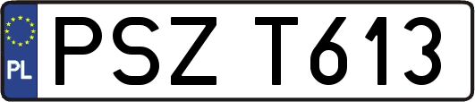 PSZT613