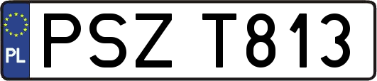 PSZT813