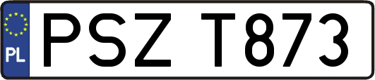 PSZT873