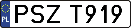 PSZT919