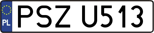 PSZU513
