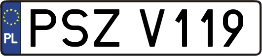 PSZV119