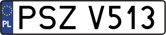 PSZV513