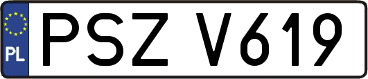 PSZV619