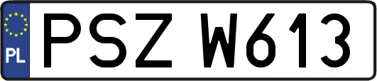 PSZW613