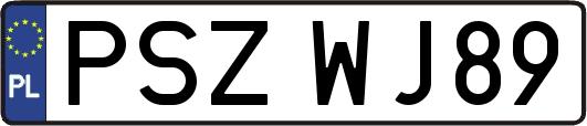 PSZWJ89