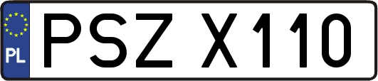 PSZX110