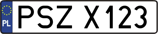 PSZX123