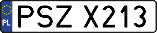 PSZX213