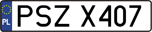 PSZX407