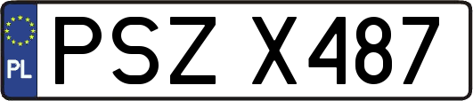 PSZX487
