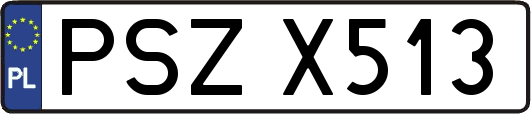 PSZX513