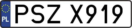 PSZX919