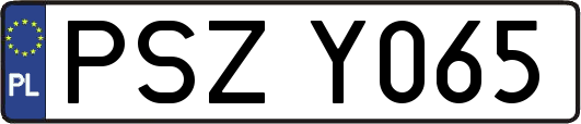 PSZY065