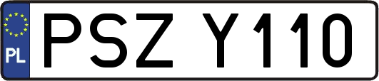 PSZY110