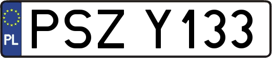PSZY133