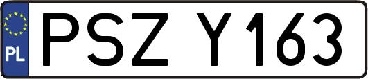 PSZY163