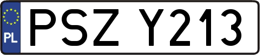 PSZY213