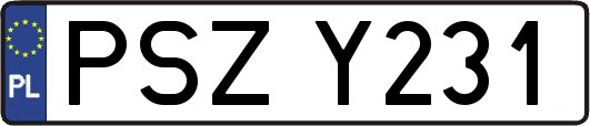 PSZY231