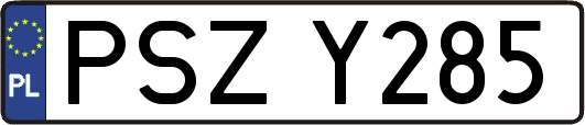 PSZY285