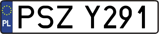 PSZY291