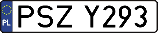 PSZY293