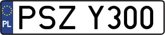 PSZY300