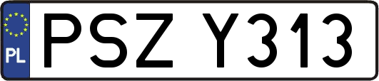 PSZY313
