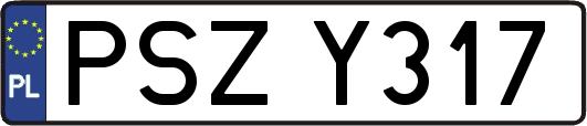 PSZY317