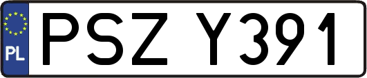 PSZY391