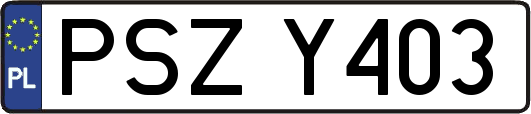 PSZY403