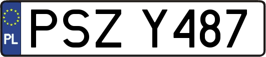 PSZY487