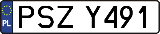 PSZY491