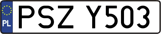 PSZY503