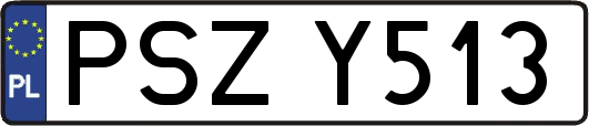 PSZY513