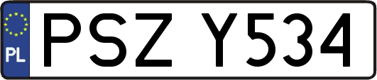 PSZY534