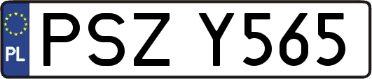 PSZY565