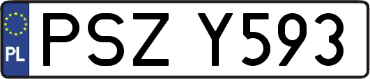 PSZY593