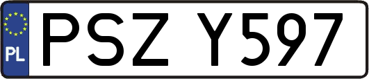 PSZY597