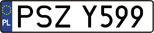 PSZY599