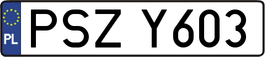 PSZY603
