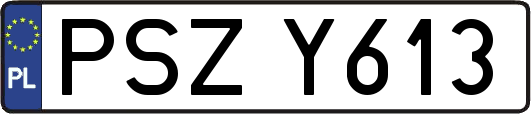 PSZY613