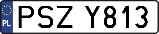 PSZY813