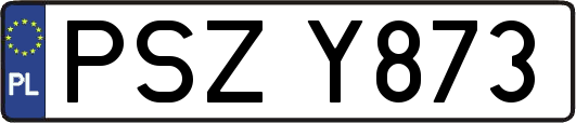 PSZY873